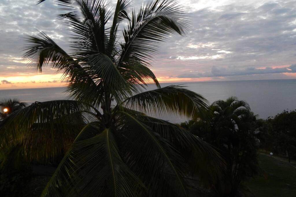Le Morne Charlotte Villa Le Carbet Ngoại thất bức ảnh